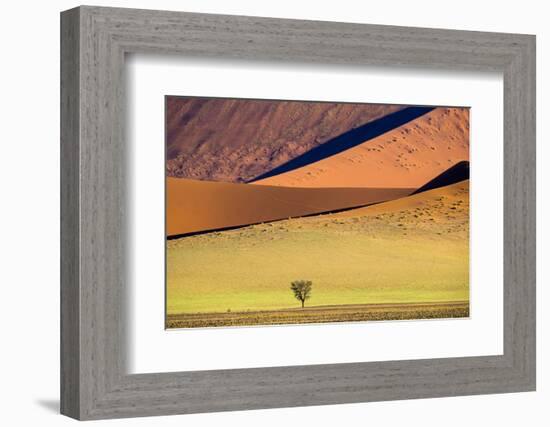 View of tree on desert and dunes , Sossusvlei, Namib-Naukluft National Park, Namibia-Panoramic Images-Framed Photographic Print