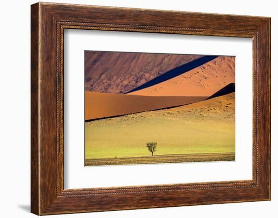 View of tree on desert and dunes , Sossusvlei, Namib-Naukluft National Park, Namibia-Panoramic Images-Framed Photographic Print