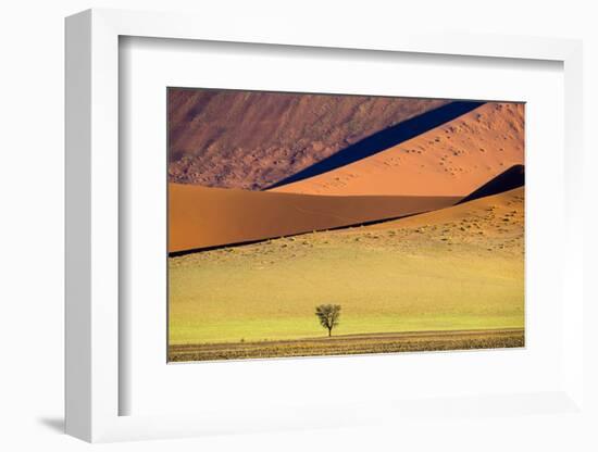 View of tree on desert and dunes , Sossusvlei, Namib-Naukluft National Park, Namibia-Panoramic Images-Framed Photographic Print