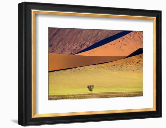 View of tree on desert and dunes , Sossusvlei, Namib-Naukluft National Park, Namibia-Panoramic Images-Framed Photographic Print