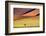 View of tree on desert and dunes , Sossusvlei, Namib-Naukluft National Park, Namibia-Panoramic Images-Framed Photographic Print