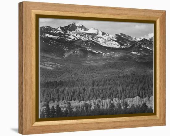 View Of Trees And Snow-Capped Mts "Long's Peak From Road Rocky Mountain NP" Colorado 1933-1942-Ansel Adams-Framed Stretched Canvas