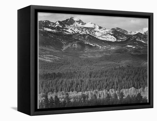View Of Trees And Snow-Capped Mts "Long's Peak From Road Rocky Mountain NP" Colorado 1933-1942-Ansel Adams-Framed Stretched Canvas
