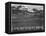 View Of Trees And Snow-Capped Mts "Long's Peak From Road Rocky Mountain NP" Colorado 1933-1942-Ansel Adams-Framed Stretched Canvas