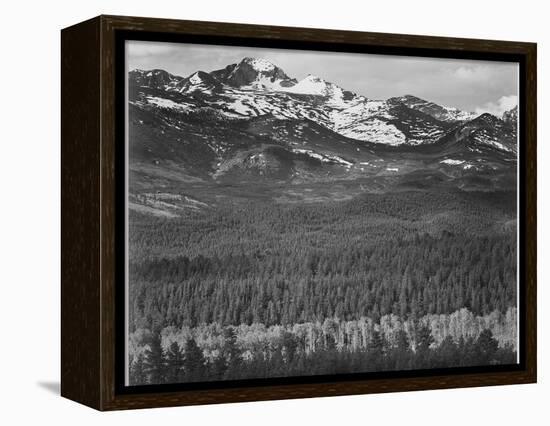 View Of Trees And Snow-Capped Mts "Long's Peak From Road Rocky Mountain NP" Colorado 1933-1942-Ansel Adams-Framed Stretched Canvas