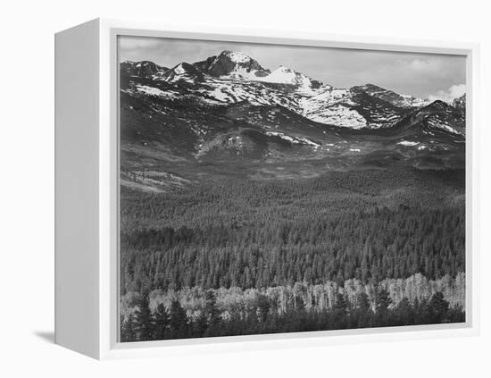 View Of Trees And Snow-Capped Mts "Long's Peak From Road Rocky Mountain NP" Colorado 1933-1942-Ansel Adams-Framed Stretched Canvas