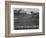 View Of Trees And Snow-Capped Mts "Long's Peak From Road Rocky Mountain NP" Colorado 1933-1942-Ansel Adams-Framed Art Print