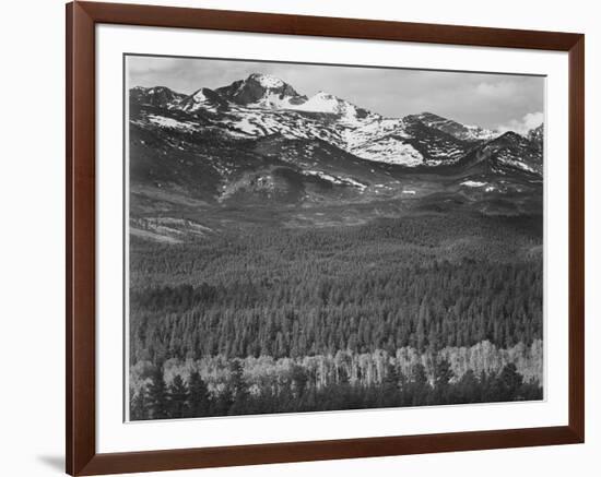 View Of Trees And Snow-Capped Mts "Long's Peak From Road Rocky Mountain NP" Colorado 1933-1942-Ansel Adams-Framed Premium Giclee Print