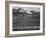 View Of Trees And Snow-Capped Mts "Long's Peak From Road Rocky Mountain NP" Colorado 1933-1942-Ansel Adams-Framed Art Print