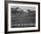 View Of Trees And Snow-Capped Mts "Long's Peak From Road Rocky Mountain NP" Colorado 1933-1942-Ansel Adams-Framed Art Print