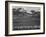 View Of Trees And Snow-Capped Mts "Long's Peak From Road Rocky Mountain NP" Colorado 1933-1942-Ansel Adams-Framed Art Print