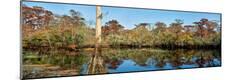 Premium Photographic Print
