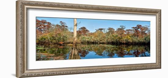 View of trees at marsh, Barrier Islands, North Carolina, USA-null-Framed Photographic Print