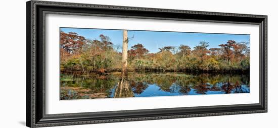 View of trees at marsh, Barrier Islands, North Carolina, USA-null-Framed Photographic Print