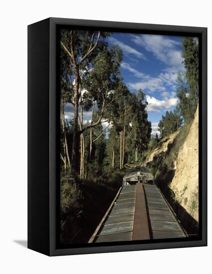 View of Trees from the Roof of the Train from Alausi to Riobamba, Ecuador, South America-Mark Chivers-Framed Premier Image Canvas