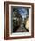 View of Trees from the Roof of the Train from Alausi to Riobamba, Ecuador, South America-Mark Chivers-Framed Photographic Print