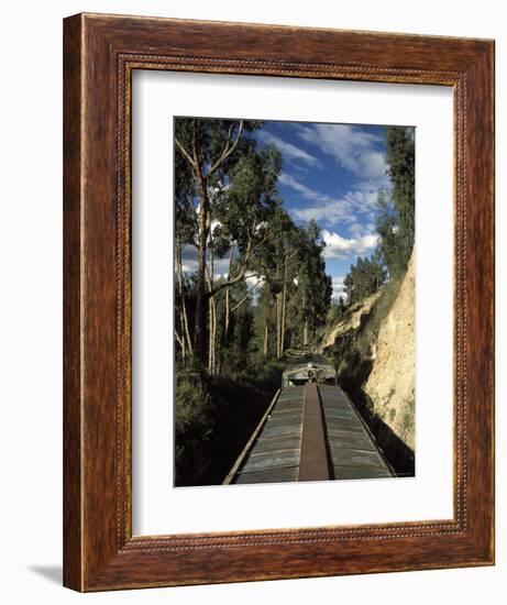 View of Trees from the Roof of the Train from Alausi to Riobamba, Ecuador, South America-Mark Chivers-Framed Photographic Print