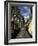 View of Trees from the Roof of the Train from Alausi to Riobamba, Ecuador, South America-Mark Chivers-Framed Photographic Print