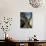 View of Trees from the Roof of the Train from Alausi to Riobamba, Ecuador, South America-Mark Chivers-Photographic Print displayed on a wall