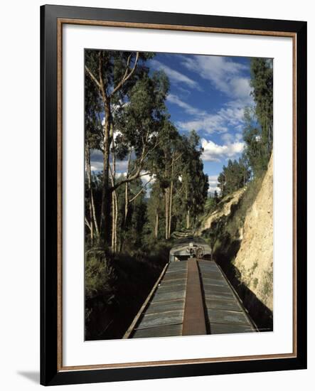 View of Trees from the Roof of the Train from Alausi to Riobamba, Ecuador, South America-Mark Chivers-Framed Photographic Print