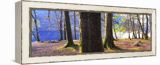 View of trees in a forest, Loch Lomond, Scotland-Panoramic Images-Framed Premier Image Canvas