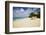 View of Turtle Cove Beach, Lesser Antilles, Anguilla-Stefano Amantini-Framed Photographic Print