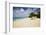 View of Turtle Cove Beach, Lesser Antilles, Anguilla-Stefano Amantini-Framed Photographic Print