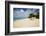 View of Turtle Cove Beach, Lesser Antilles, Anguilla-Stefano Amantini-Framed Photographic Print