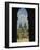 View of Tyn Church in Old Town Square, Prague, Czech Republic-Steve Satushek-Framed Photographic Print