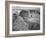 View Of Valley From Mountain "Canyon De Chelly" National Monument Arizona. 1933-1942-Ansel Adams-Framed Art Print