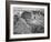 View Of Valley From Mountain "Canyon De Chelly" National Monument Arizona. 1933-1942-Ansel Adams-Framed Art Print