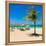 View of Varadero Beach in Cuba with a Coconut Tree, Umbrellas and a Beautiful Turquoise Ocean-Kamira-Framed Stretched Canvas