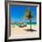 View of Varadero Beach in Cuba with a Coconut Tree, Umbrellas and a Beautiful Turquoise Ocean-Kamira-Framed Photographic Print