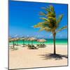 View of Varadero Beach in Cuba with a Coconut Tree, Umbrellas and a Beautiful Turquoise Ocean-Kamira-Mounted Photographic Print