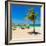 View of Varadero Beach in Cuba with a Coconut Tree, Umbrellas and a Beautiful Turquoise Ocean-Kamira-Framed Photographic Print