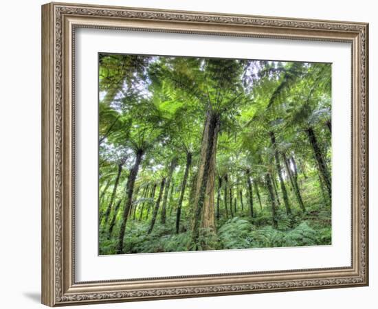 View of Vegetation in Bali Botanical Gardens, Bali, Indonesia-null-Framed Photographic Print