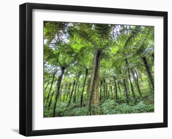 View of Vegetation in Bali Botanical Gardens, Bali, Indonesia-null-Framed Photographic Print