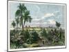 View of Vera Cruz, on the Gulf of Mexico, Mexico, C1880-null-Mounted Giclee Print