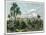 View of Vera Cruz, on the Gulf of Mexico, Mexico, C1880-null-Mounted Giclee Print