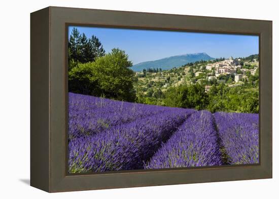 View of Village of Aurel with Field of Lavander in Bloom, Provence, France-Stefano Politi Markovina-Framed Premier Image Canvas