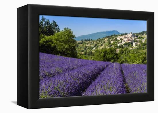 View of Village of Aurel with Field of Lavander in Bloom, Provence, France-Stefano Politi Markovina-Framed Premier Image Canvas