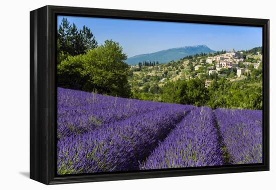 View of Village of Aurel with Field of Lavander in Bloom, Provence, France-Stefano Politi Markovina-Framed Premier Image Canvas