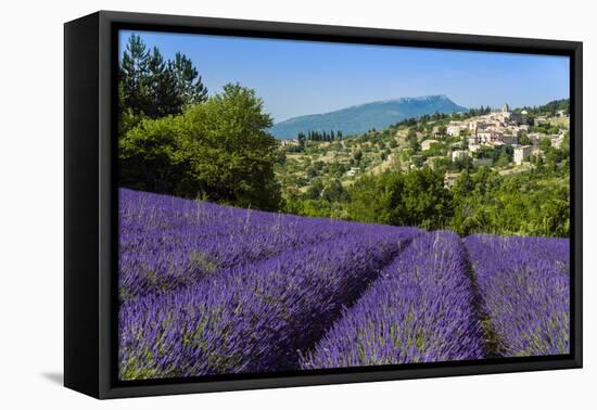 View of Village of Aurel with Field of Lavander in Bloom, Provence, France-Stefano Politi Markovina-Framed Premier Image Canvas