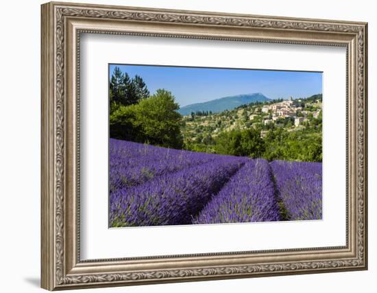 View of Village of Aurel with Field of Lavander in Bloom, Provence, France-Stefano Politi Markovina-Framed Photographic Print