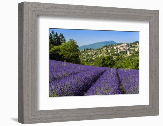 View of Village of Aurel with Field of Lavander in Bloom, Provence, France-Stefano Politi Markovina-Framed Photographic Print