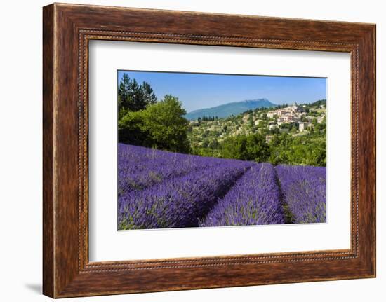 View of Village of Aurel with Field of Lavander in Bloom, Provence, France-Stefano Politi Markovina-Framed Photographic Print