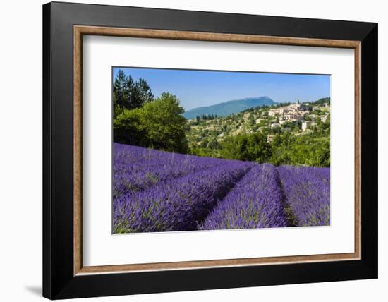 View of Village of Aurel with Field of Lavander in Bloom, Provence, France-Stefano Politi Markovina-Framed Photographic Print