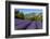 View of Village of Aurel with Field of Lavander in Bloom, Provence, France-Stefano Politi Markovina-Framed Photographic Print