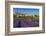 View of Village of Saignon with Field of Lavander in Bloom, Provence, France-Stefano Politi Markovina-Framed Photographic Print