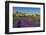 View of Village of Saignon with Field of Lavander in Bloom, Provence, France-Stefano Politi Markovina-Framed Photographic Print
